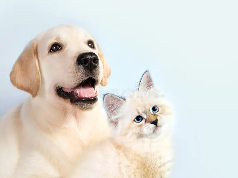 Pet Supplies